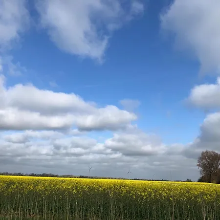 Tief 12 Strandkieker Mit Internet Und Strandkorb 54 Apartment Schillig