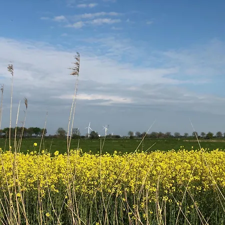 Tief 12 Strandkieker Mit Internet Und Strandkorb 54 * Schillig