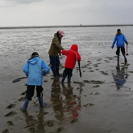 Appartement Tief 12 Strandkieker Mit Internet Und Strandkorb 54 Schillig