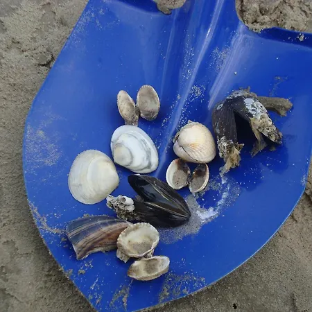 Tief 12 Strandkieker Mit Internet Und Strandkorb 54 Appartement
