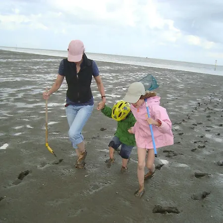 Tief 12 Strandkieker Mit Internet Und Strandkorb 54 Apartment Schillig