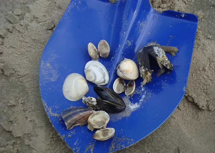 Tief 12 Strandkieker Mit Internet Und Strandkorb 54 アパート