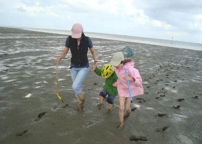Tief 12 Strandkieker Mit Internet Und Strandkorb 54 Daire Schillig